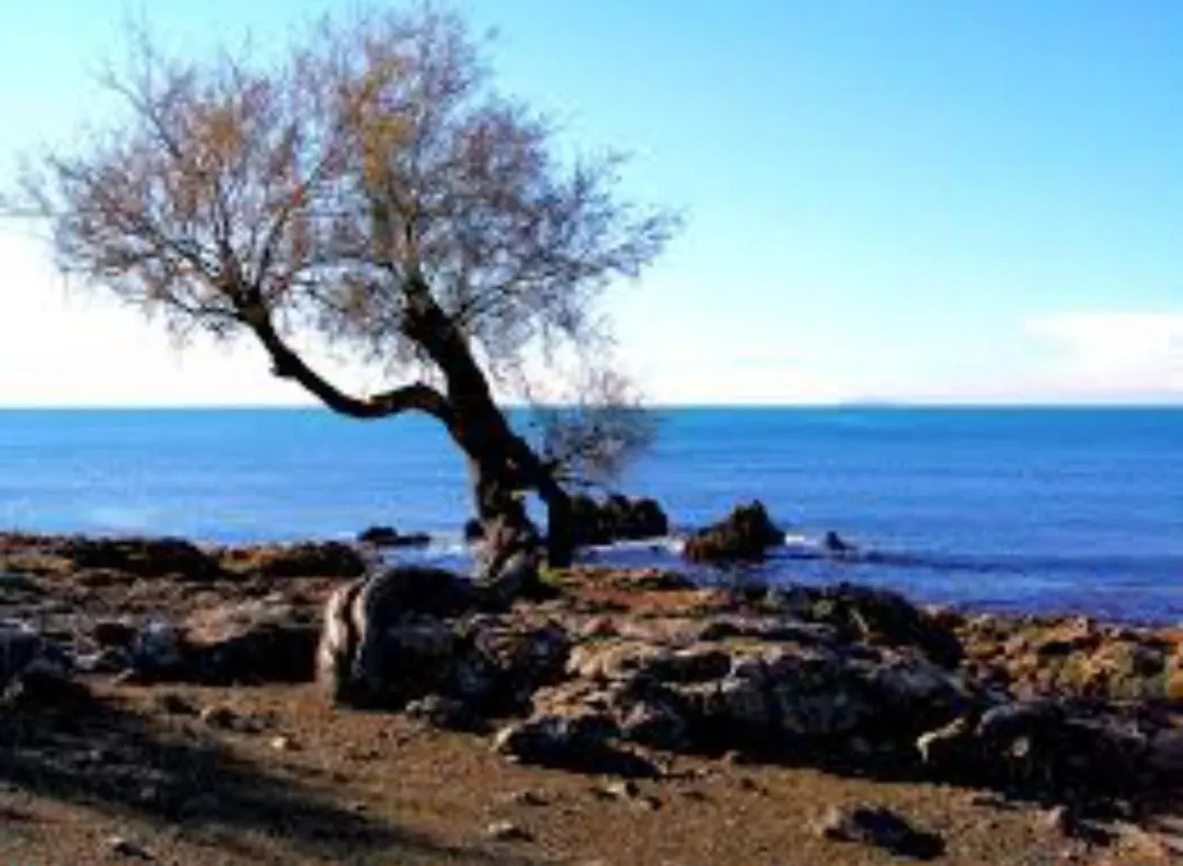 La Torretta Sul Porto Apartment Livorno 0*,